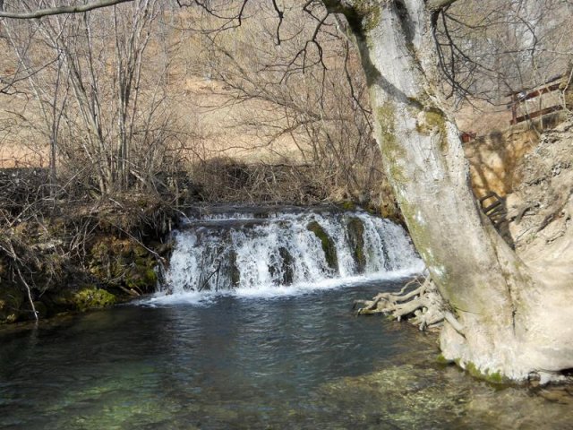 Veliki buk 1