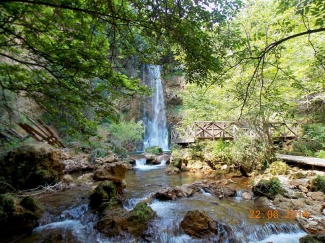 Veliki buk 2014 - 1